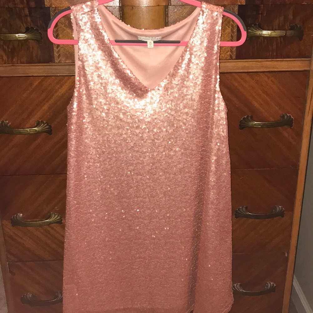 Blush sequin dress